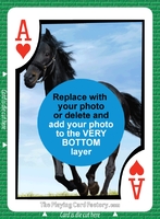 Bid Euchre