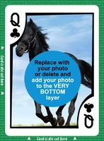 Bid Euchre