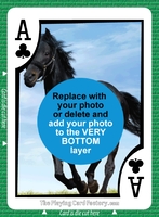 Bid Euchre