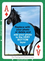 Bid Euchre