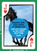 Bid Euchre