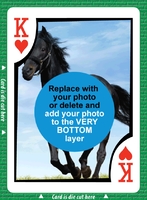Bid Euchre
