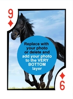 Euchre Double Deck
