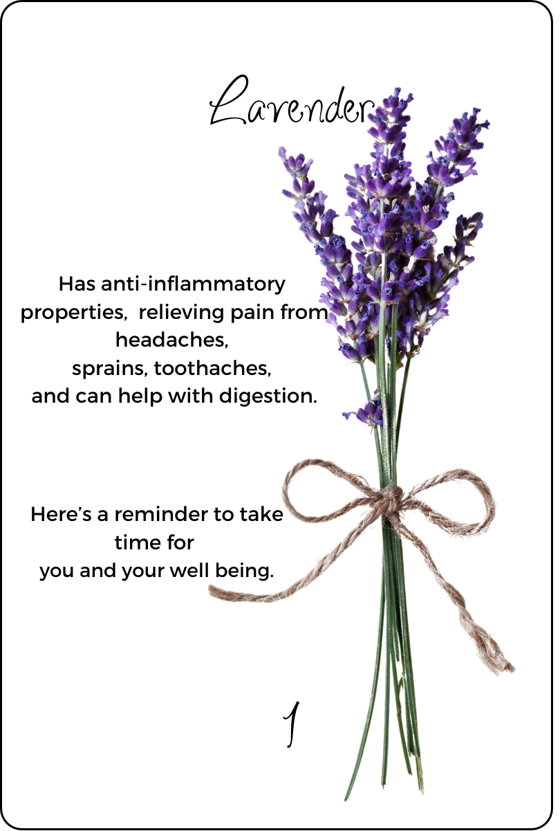 Lavender