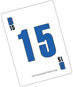 Bingo Card B15